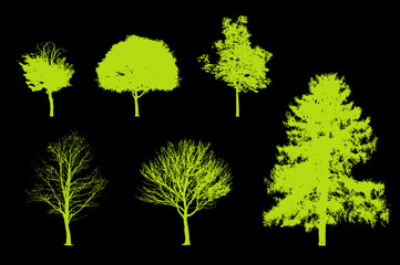 arbres pour coupes et élévations