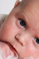 kleines baby schaut in die kamera