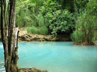 bassin turquoise dans végétation luxuriante