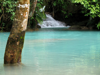 bassin turquoise et arbre immergé