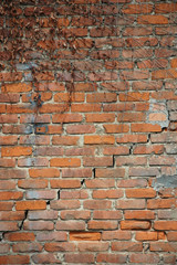 wall