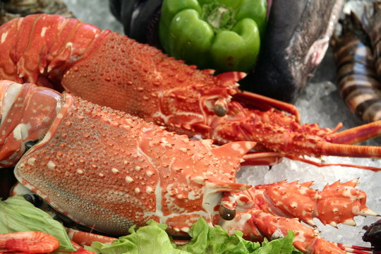 fresh lobsters
