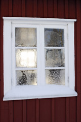 frosty window