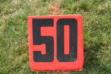 50 yard line