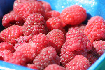 berries at farm market