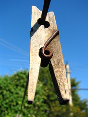 clothes-peg