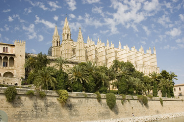 palma cathedral