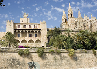 palma cathedral