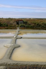 marais salants