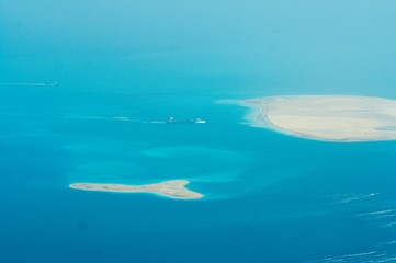the palm