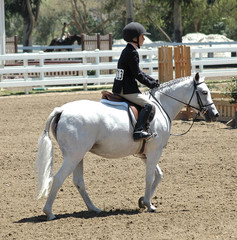 show pony and rider