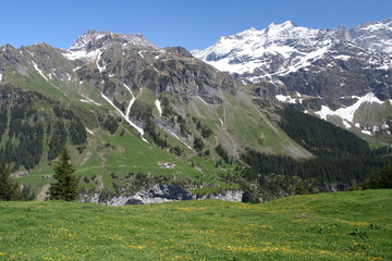 Fototapeta na wymiar Szwajcaria Alpy wiosna góry