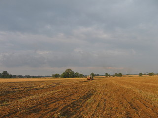 sowing