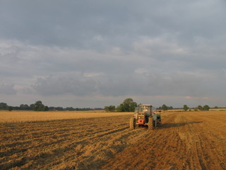 sowing