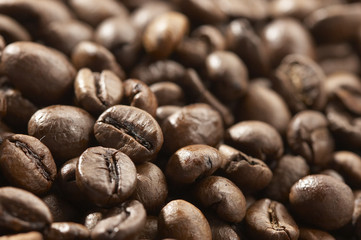 coffee grains