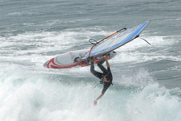 windsurfer 50