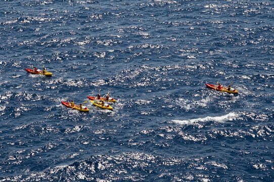 kayaks