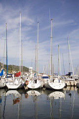 marina8376