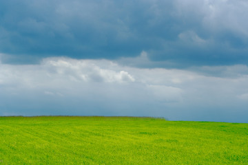 Fototapeta na wymiar plain green field