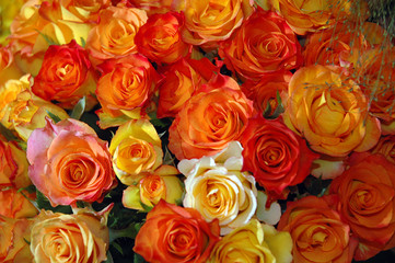 Obraz na płótnie Canvas pomarańczowe i czerwone róże