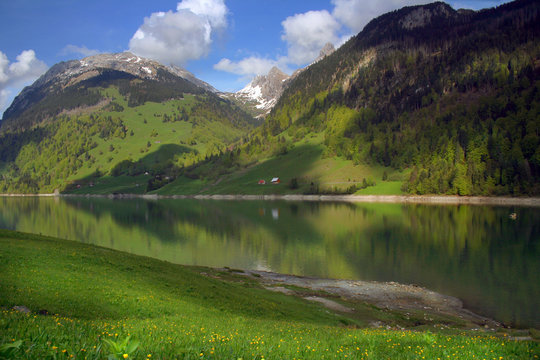 reliefes des colines