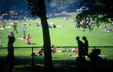 great lawn in central park nyc