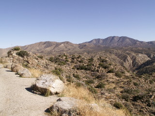 desert