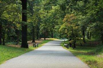 country road