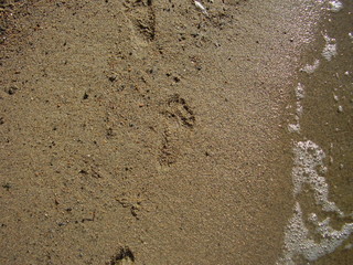 footprints