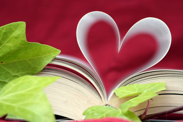 the book of love (close up)