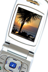 handy mit palme im display