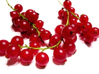 johannisbeeren