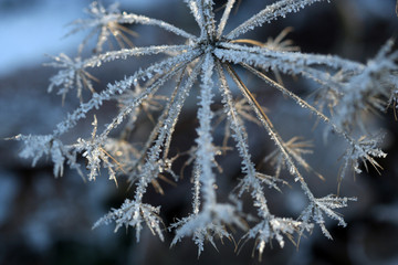 winter details