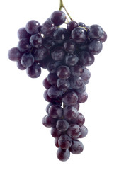 grape