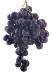 grape