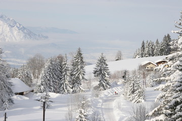 winterlandschaft 02