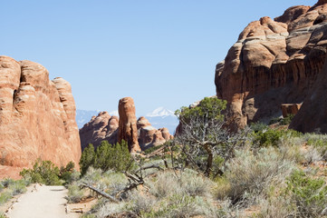 touring in Arches National park , Utah