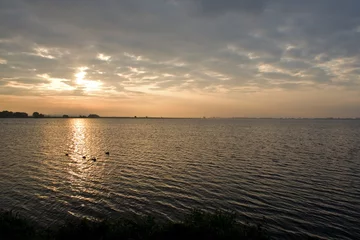 Foto auf Alu-Dibond sunset at reeuwijk © Martin