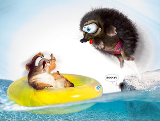 non ne saute pas !!!