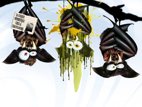la colique chez la chauve-souris