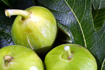 figues