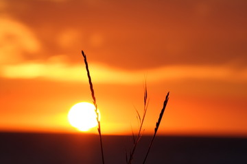 Obrazy na Plexi  zachód słońca