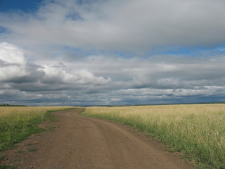 Fototapeta premium field, road, sky and clouds