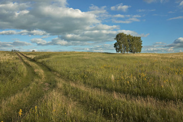 summer landscape with field, road, trees, sky, clouds