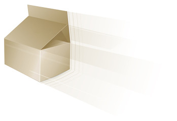 carton de livraison