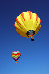 hot air balloons in flight