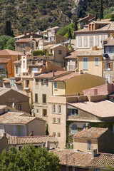 Obraz premium bormes les mimosas