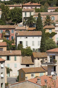 bormes les mimosas
