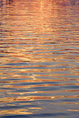 water surface gold