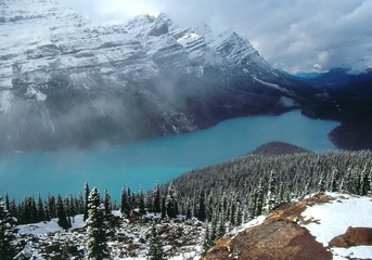 peyto lake